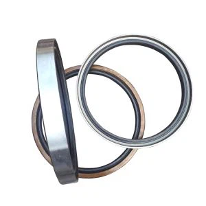 Alto rendimiento TC TB TA SA Tipo FKM Viton Oil Seals