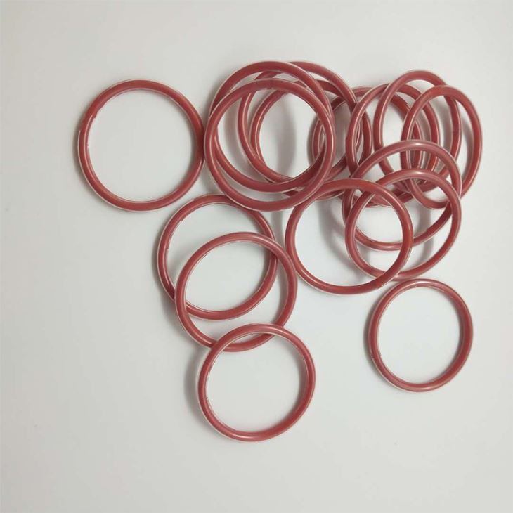 Encapsulated O-Rings