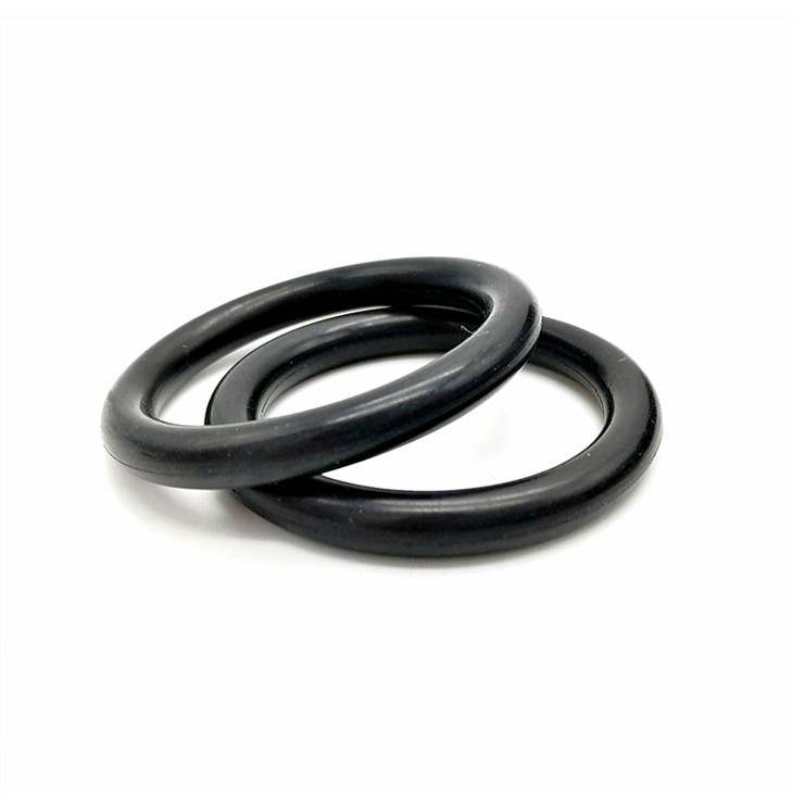 HNBR O Ring 24*3.1mm