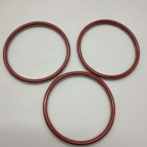 FEP O Ring encapsulado