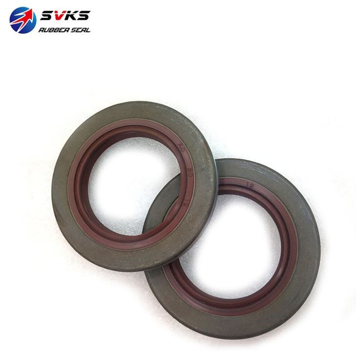 Double Iron Shell Radial Oil Seal