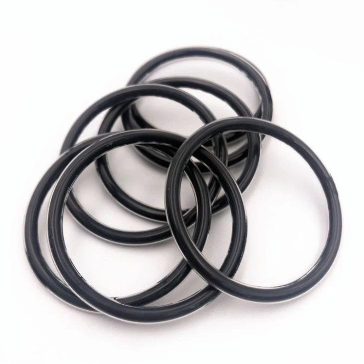 Encapsulated viton Oring4