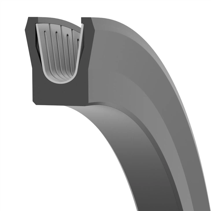 Spring Energized Teflon PTFE Seals